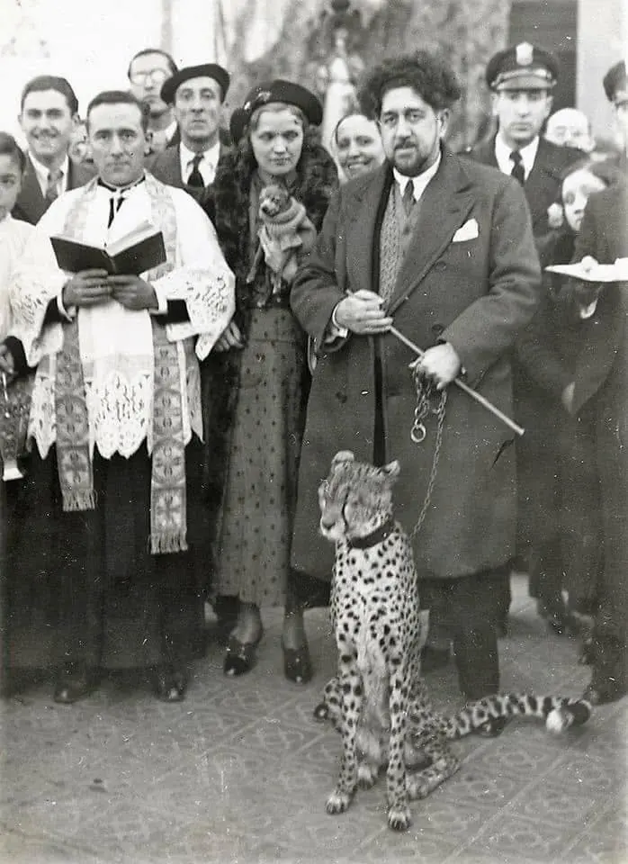 El guepardo de Faquir Aris