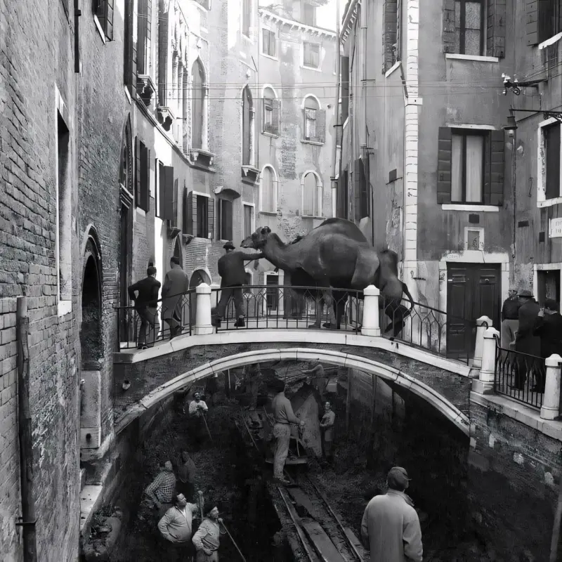 Togny Circus Arrives in Venice