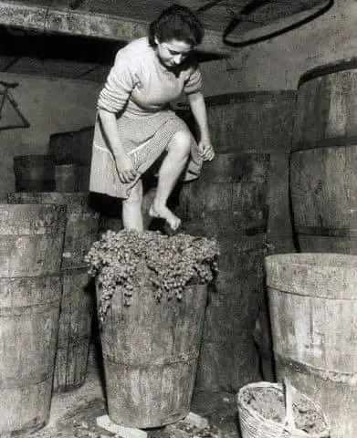 Una mujer pisando uvas