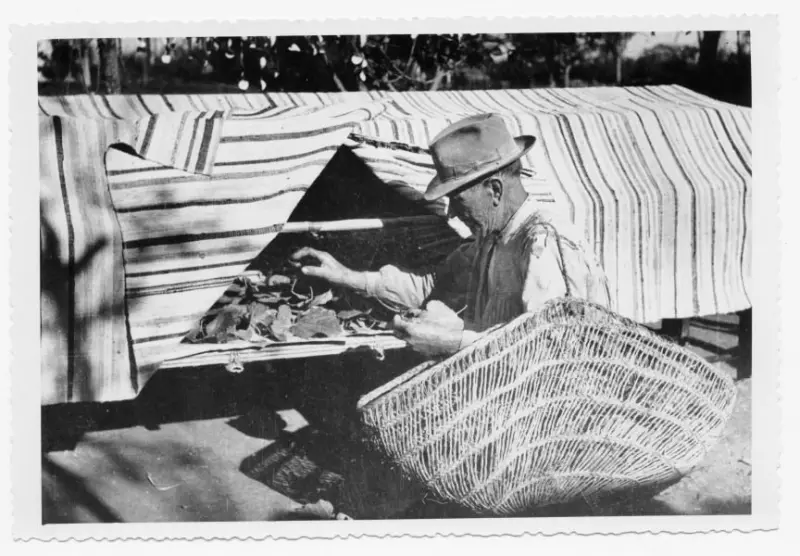 Tartana para la cria del gusano de seda.