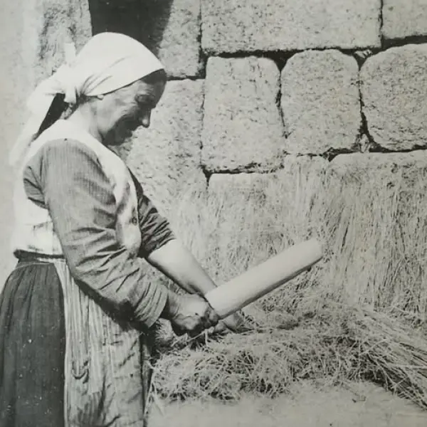 “Mazar o liño”