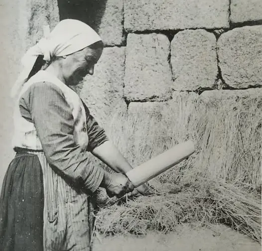 “Mazar o liño”