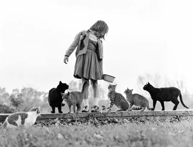 María y los gatos.
