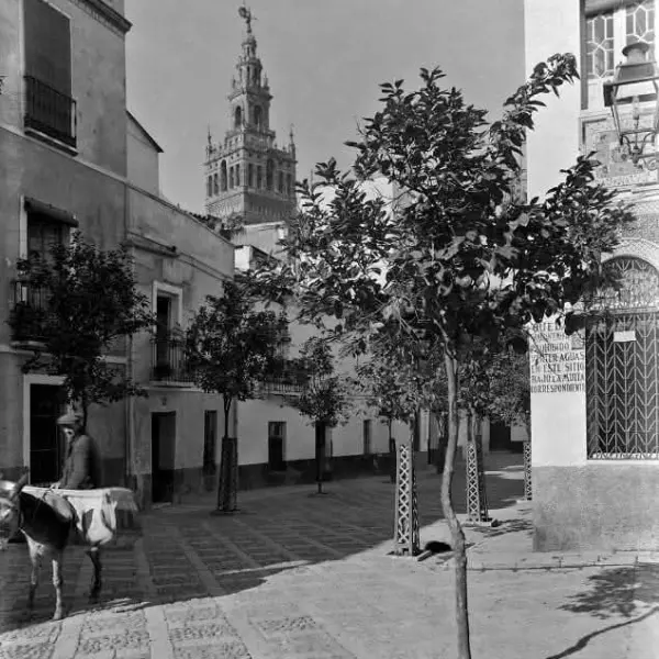 Barreduela de la Plaza de la Alianza.