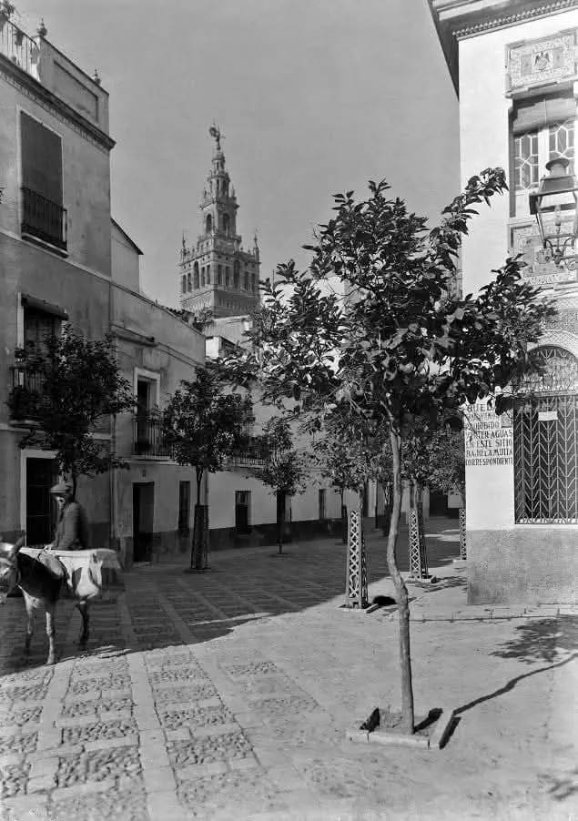 Barreduela de la Plaza de la Alianza.