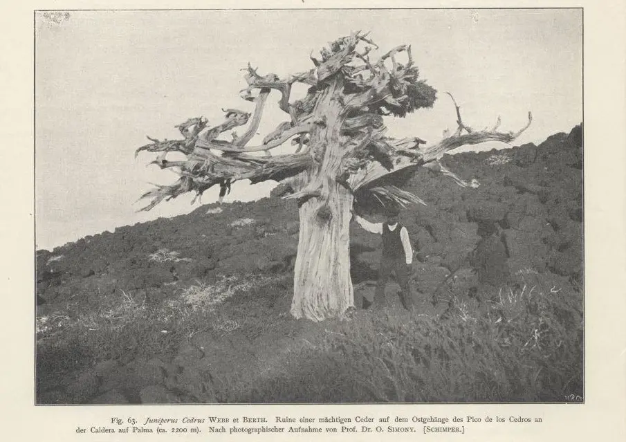 Caldera de Taburiente.