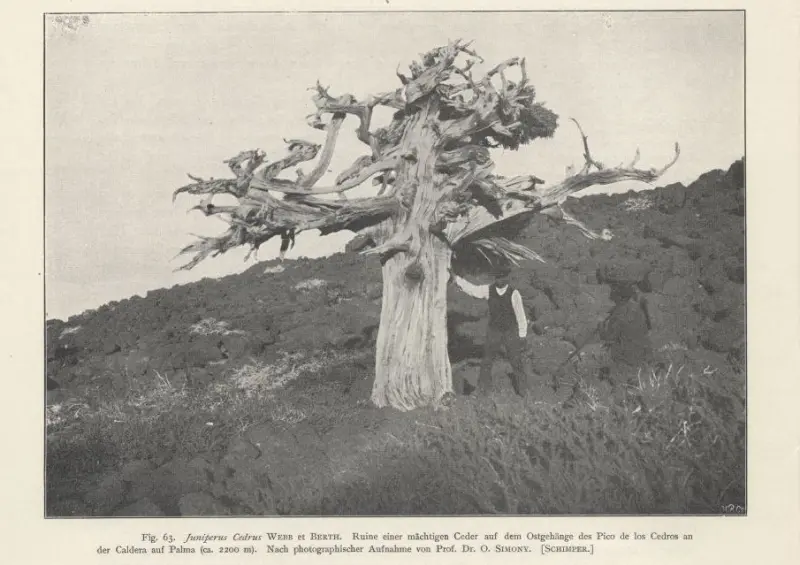 Caldera de Taburiente.