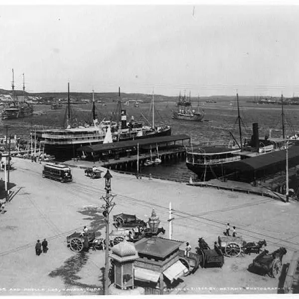 Harbor and Muelle Lus