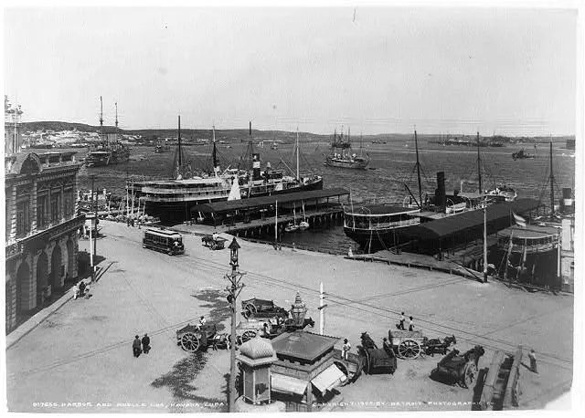 Harbor and Muelle Lus