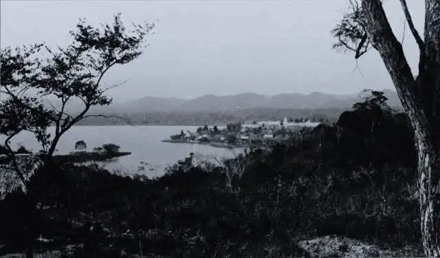 Cuando Flores era solo un susurro entre la selva 