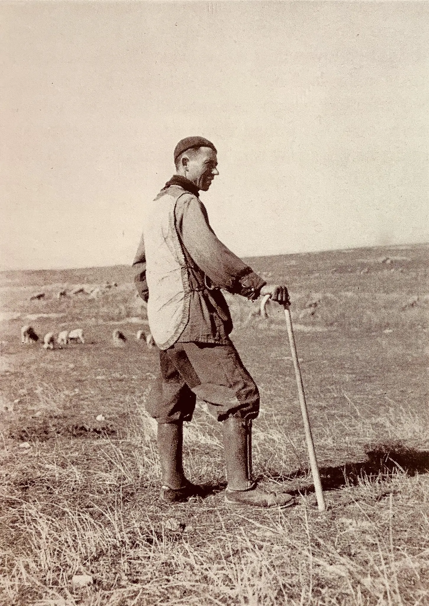 Retrato de un pastor