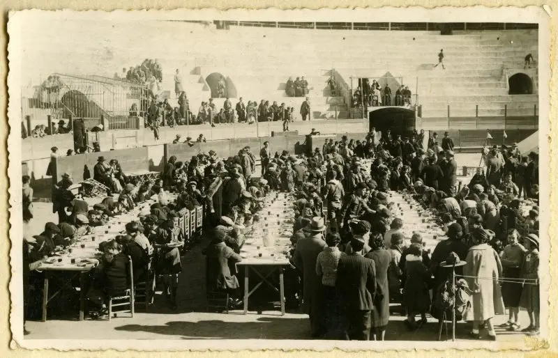 Comida organizada Comida organizada