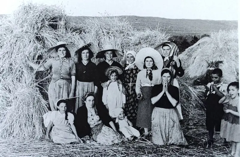 Trabajo en el campo.