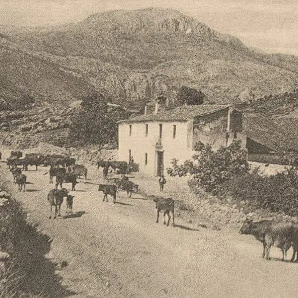 Venta de Alfarnate.