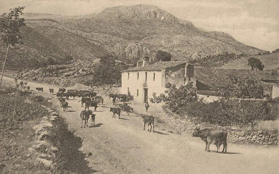 Venta de Alfarnate. Venta de Alfarnate.