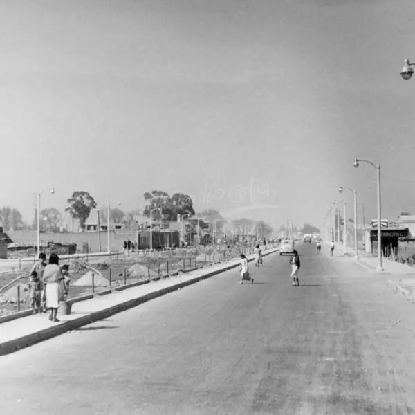 Avenida Mariano Escobedo