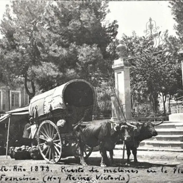 Carro amb bous