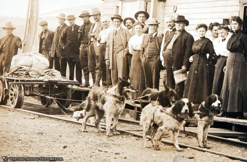 Dogs pulling a rail cart