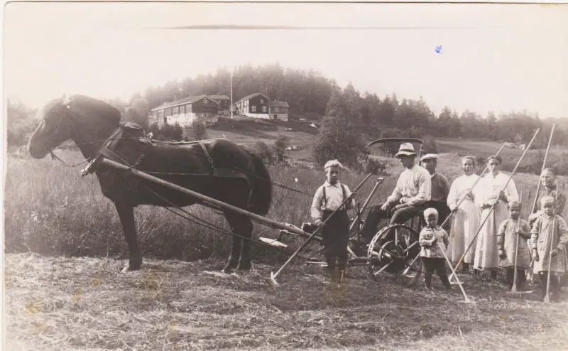 COUNTRYSIDE FAMILY SCENE