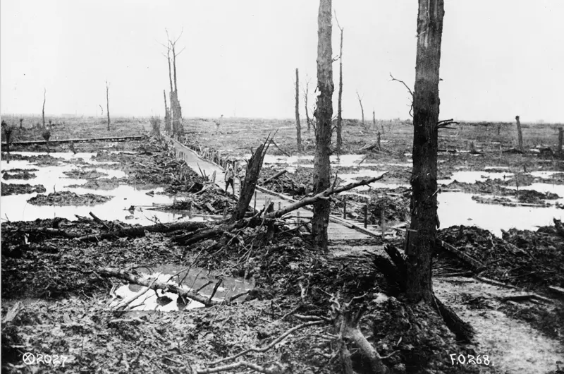 A bridge across the mud 