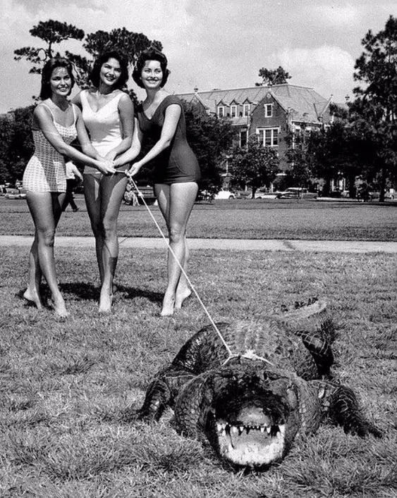 Girls Walk with an Alligator