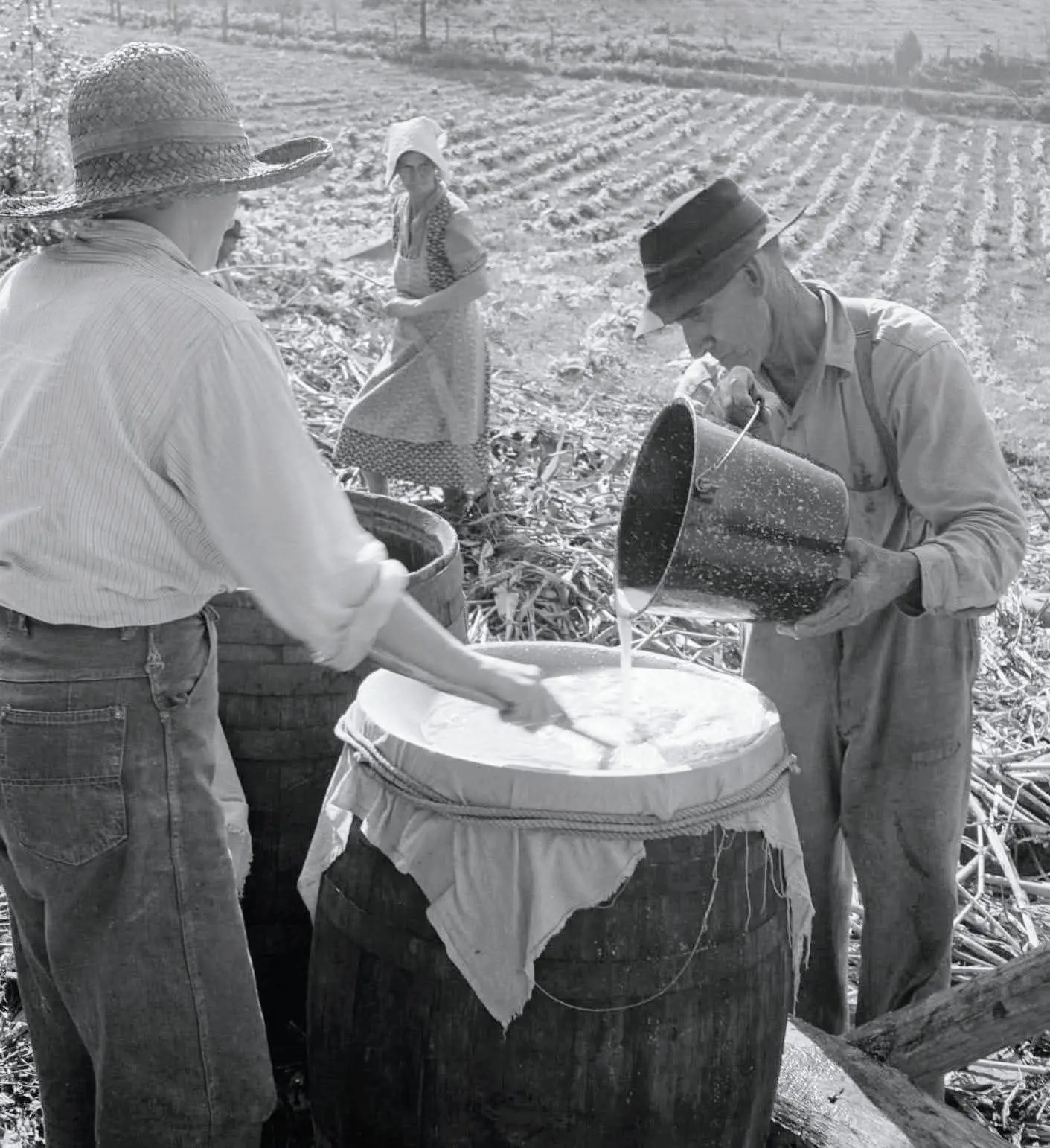 Making sorghum syrup