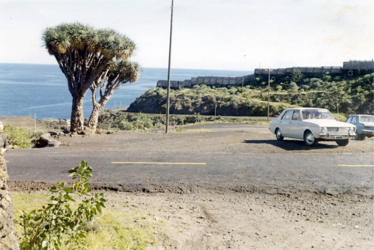 El Drago - Breña Baja