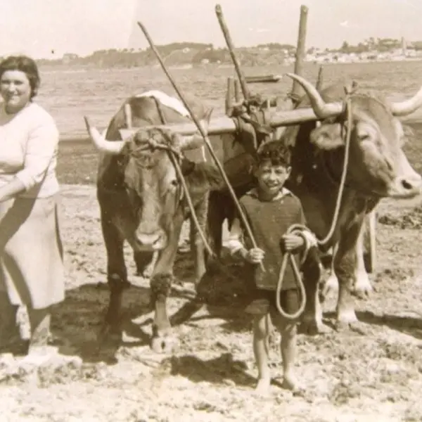 Mai e fillos recollendo argazo.