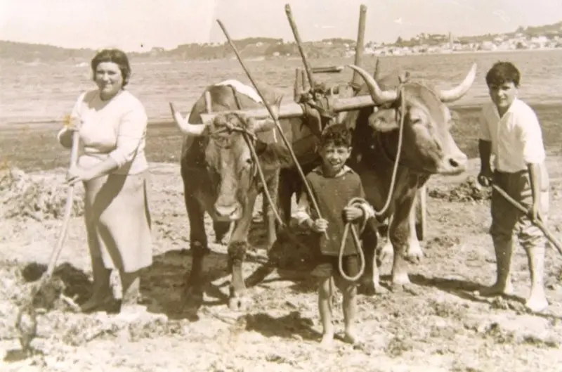 Mai e fillos recollendo argazo.