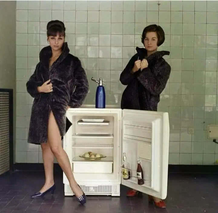 Hungarian Refrigerator Advertisement