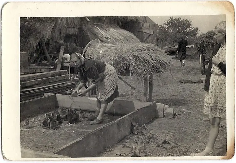 Tomczyce gm. Plecka Dąbrowa