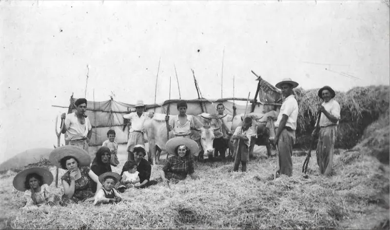 Trillado en Barlovento