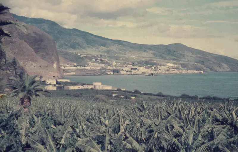 Santa Cruz de La Palma desde Breña Baja