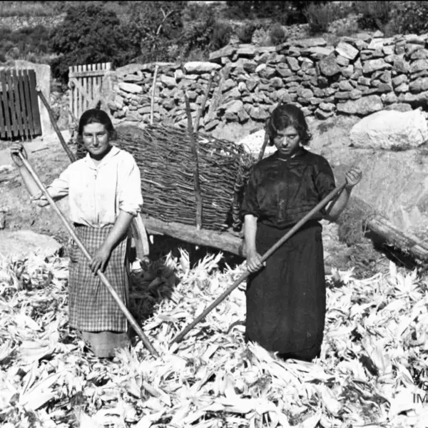 Secado de la hoja.