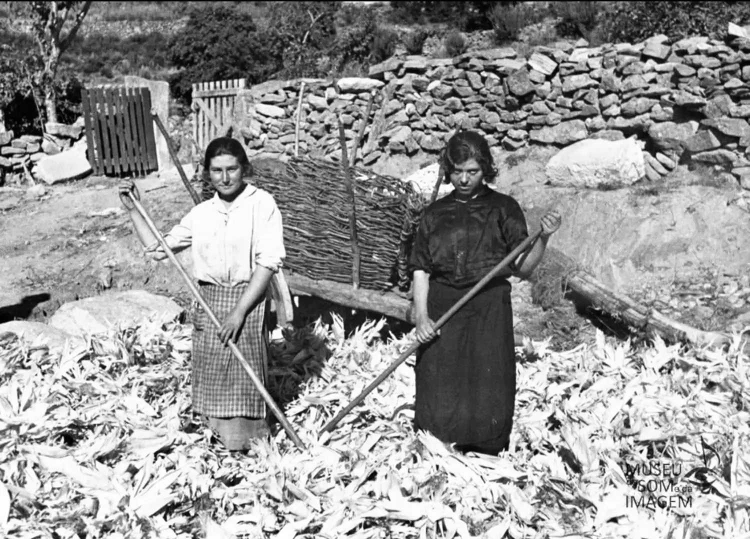 Secado de la hoja. Secado de la hoja.