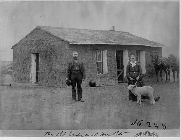 The Old lady and her Pets