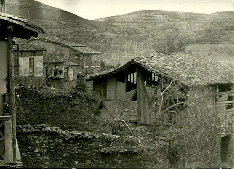 Vista parcial con casas de construcción típica.