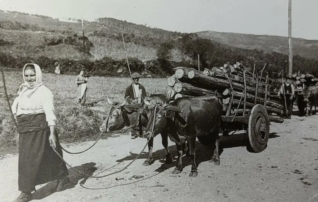 Mujer llevando madera