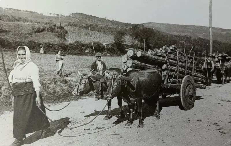 Mujer llevando madera