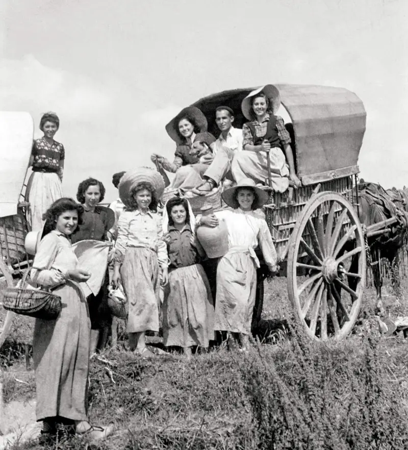 Recolectores de Cebollas