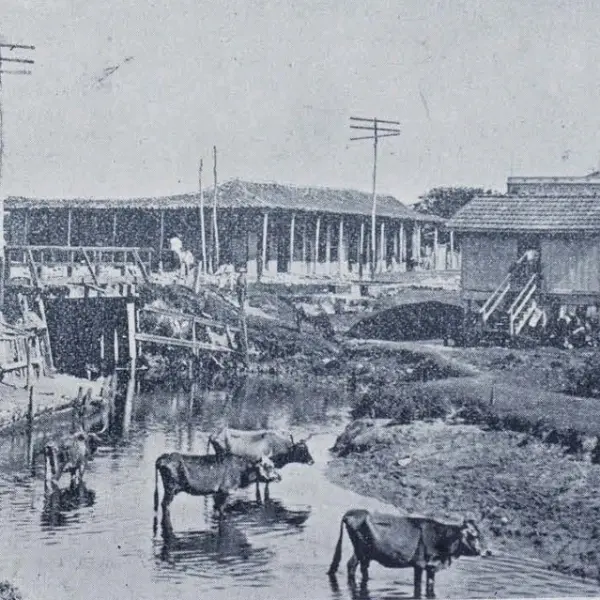 Puente de Concha
