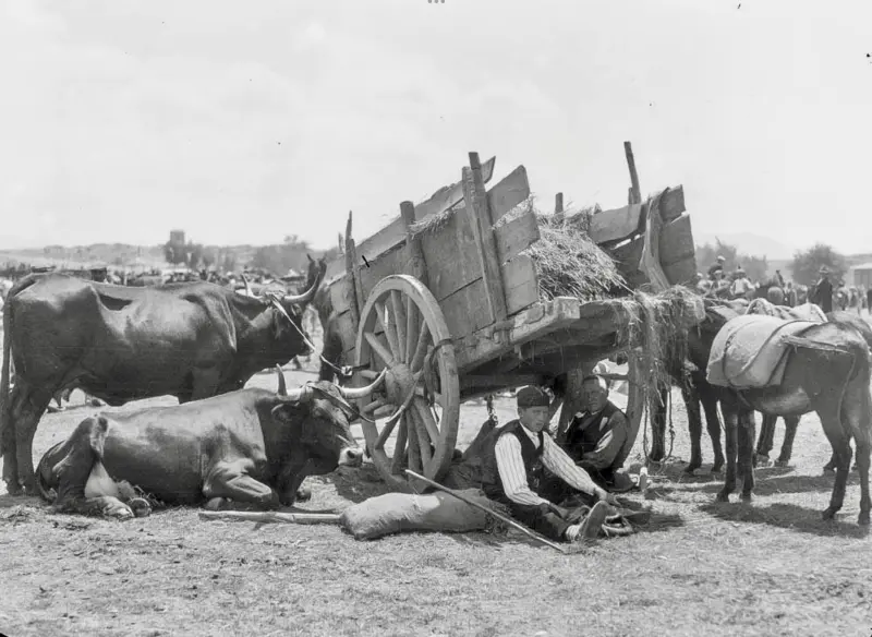 En la feria, hombres sentados bajo un carro.