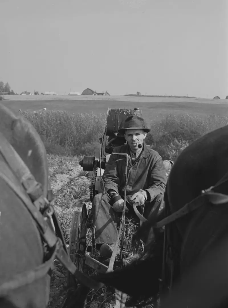 French Canadian potato farmer