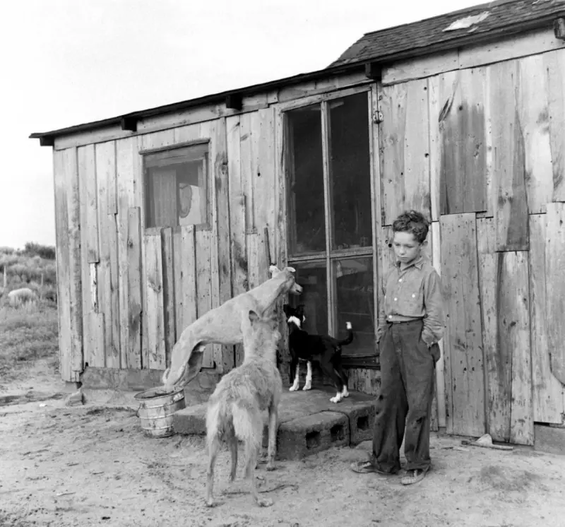 A sad son of a farmer