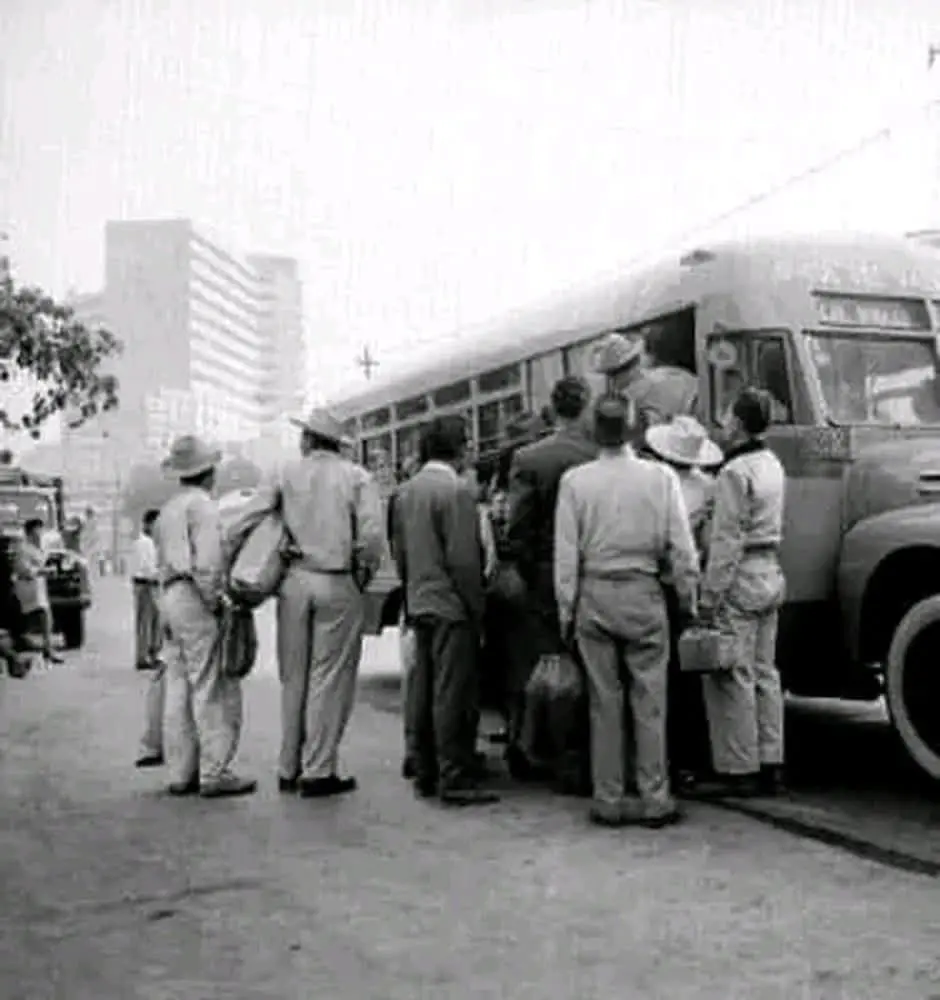 Camión urbano en Avenida Insurgentes