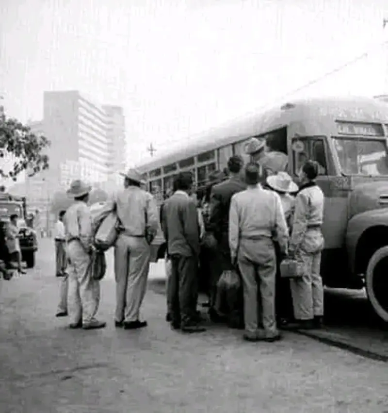 Camión urbano en Avenida Insurgentes