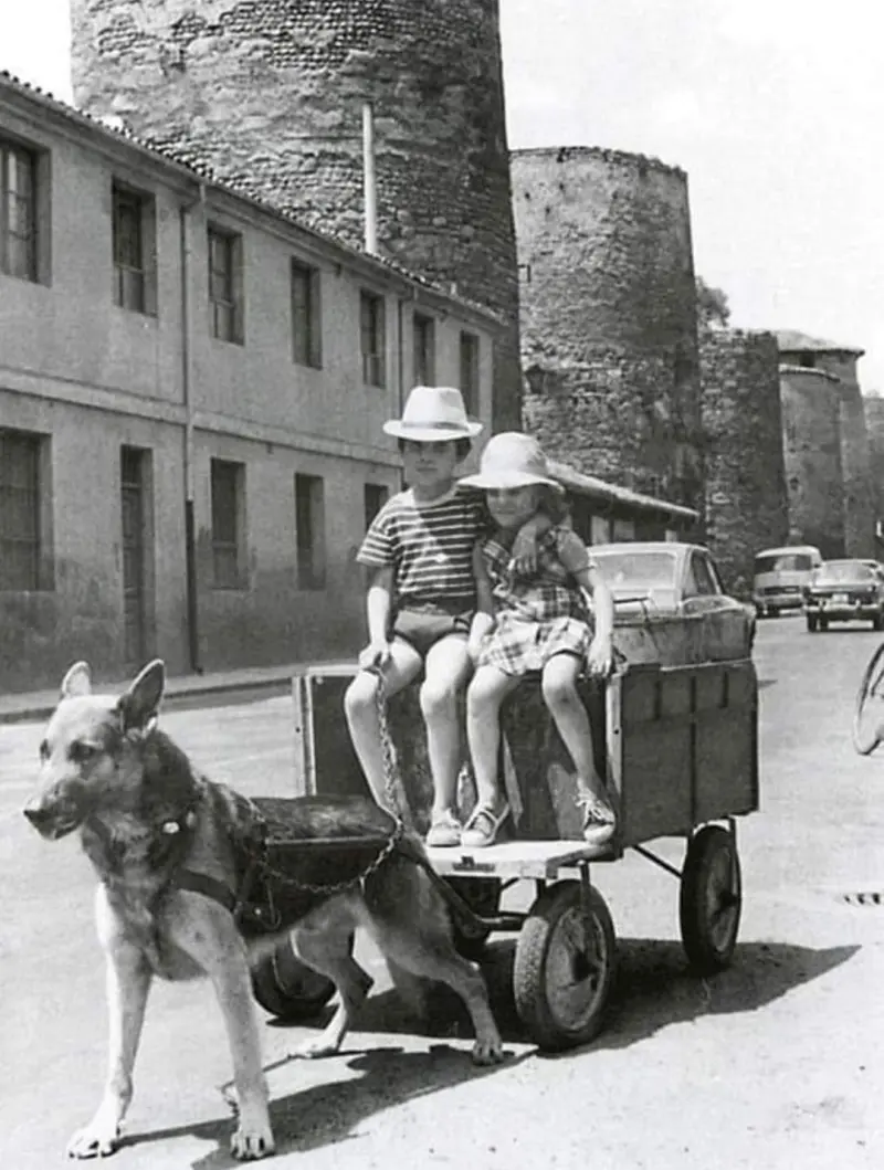 Carro tirado por un pastor alemán, en la Calle de los Cubos