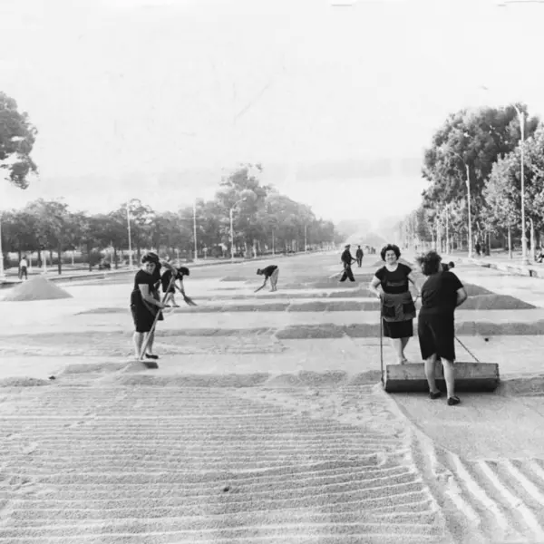 Secaderos de arroz en los paseos.