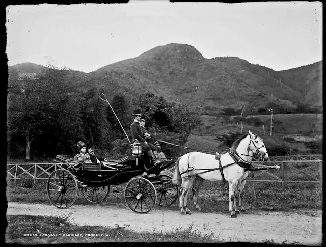 CARRUAJE