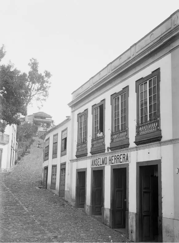 San Andrés y Sauces - Los Sauces.